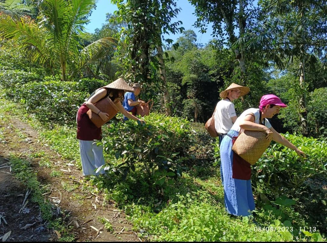 Dwan Tea Mountain Side Jatiluwih Exterior foto